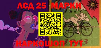 шишки Апшеронск