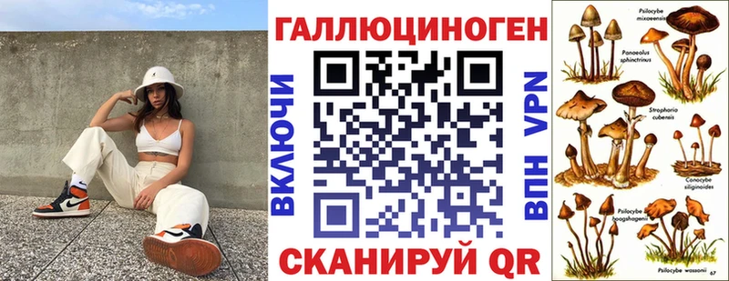 Псилоцибиновые грибы Psilocybe  Волгоград 
