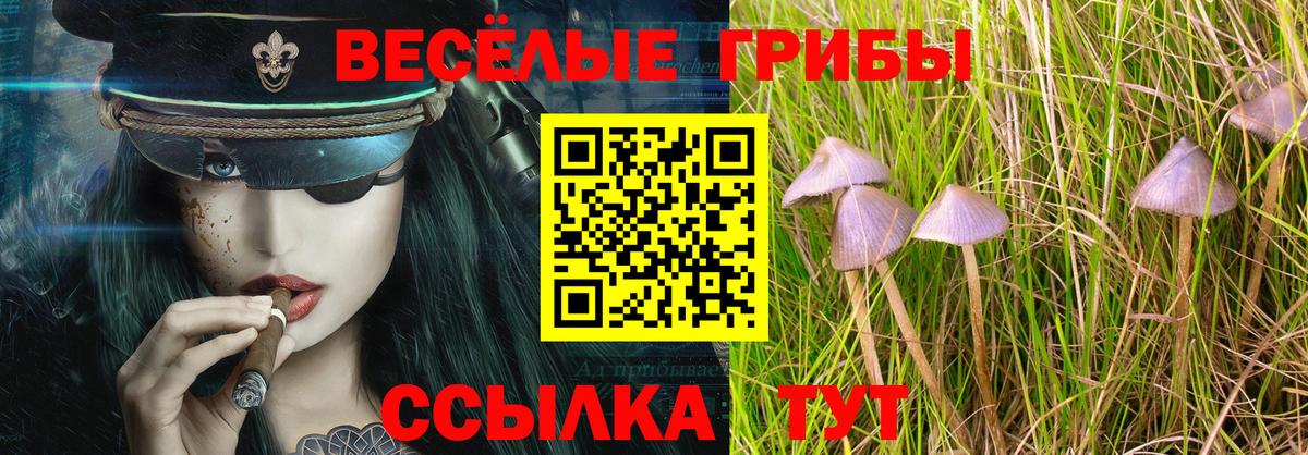 Галлюциногенные грибы мицелий Волгоград