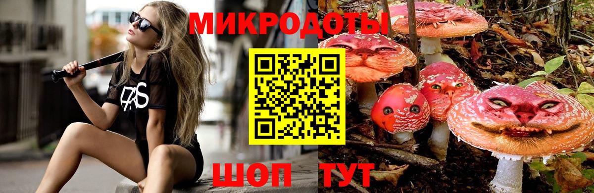 Псилоцибиновые грибы Psilocybe  где найти   Волгоград  Вход с VPN 