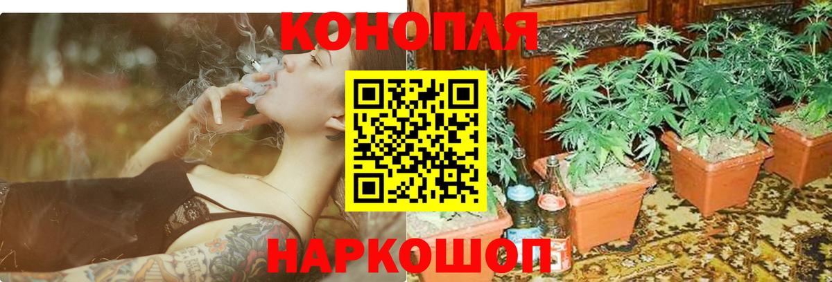Волгоград  Марихуана гибрид  Бошки марихуана AK-47  Вход с VPN  Бошки марихуана планчик 